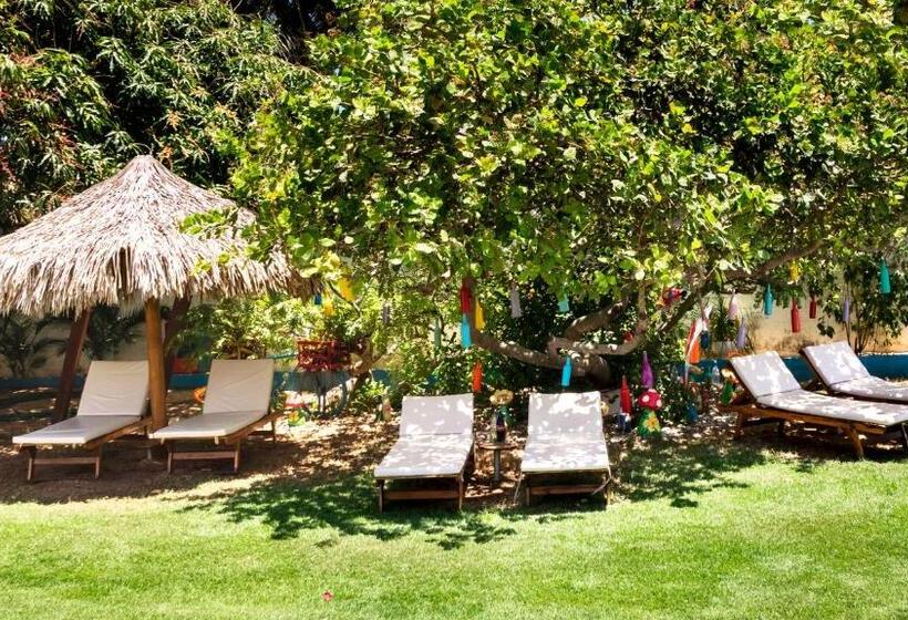 Bed and Breakfast Pousada & Food 3 Abelhas