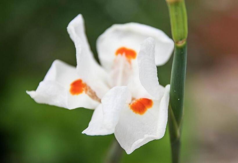 Bed and Breakfast Pousada & Food 3 Abelhas