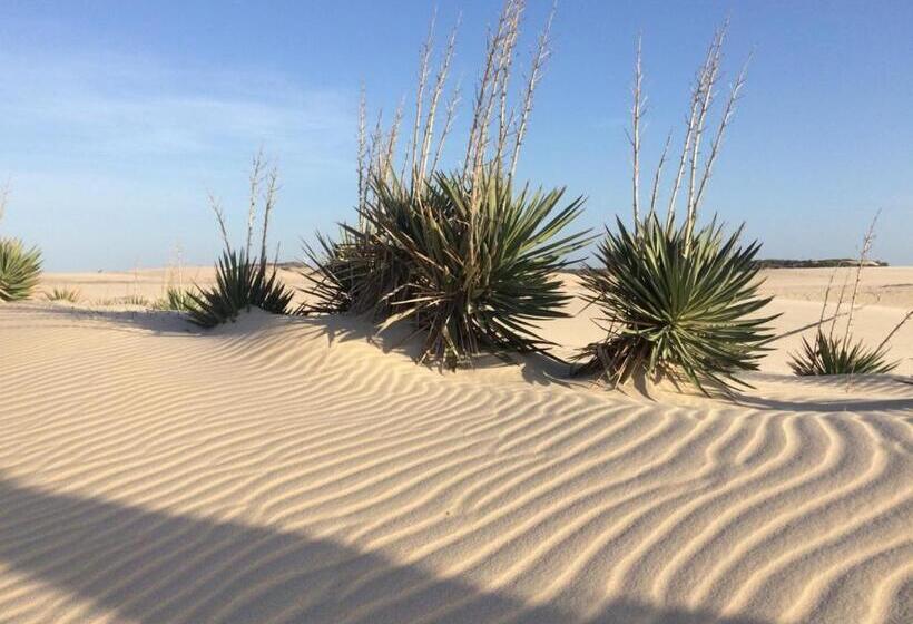 Bed and Breakfast Pousada & Food 3 Abelhas