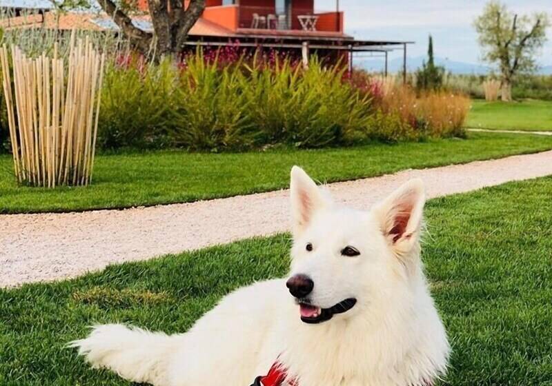 هتل Podere Maremma Spa & Ristorante