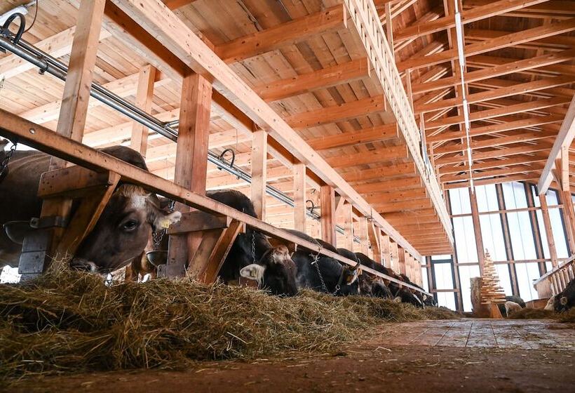 Отель Rifugio Cereda