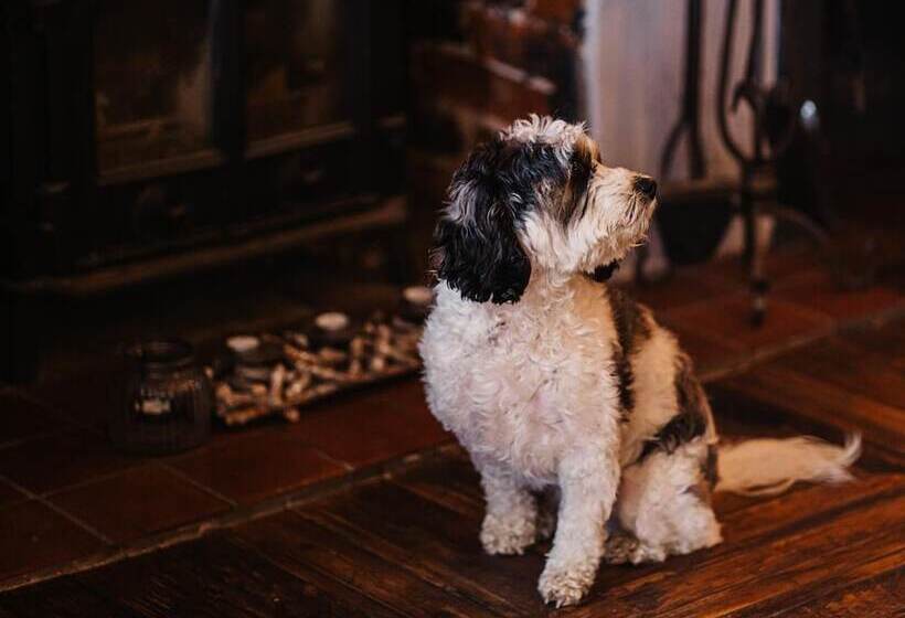 فندق The Ship Inn