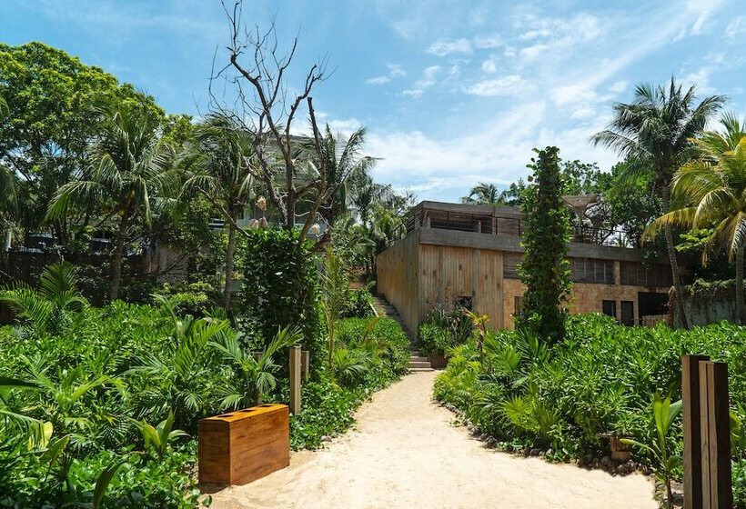 旅馆 Mayan Monkey Isla Mujeres Adults Only