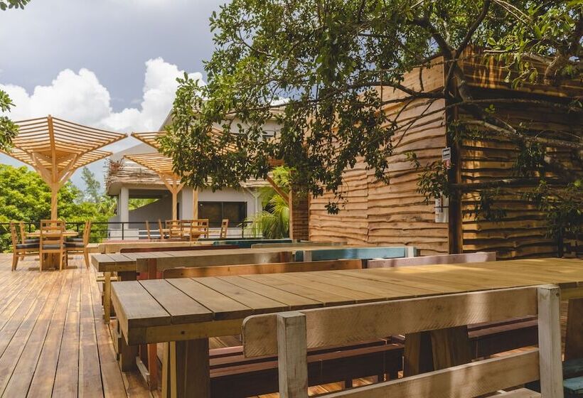 هاستل Mayan Monkey Isla Mujeres   Adults Only