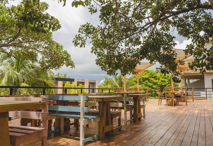 旅馆 Mayan Monkey Isla Mujeres Adults Only