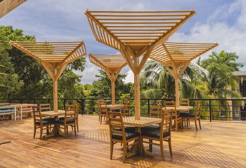 هاستل Mayan Monkey Isla Mujeres   Adults Only