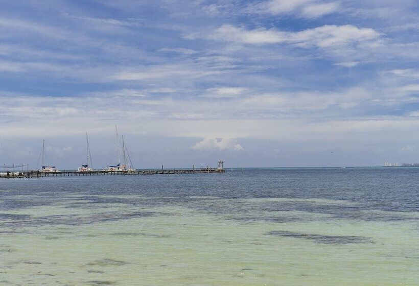 旅馆 Mayan Monkey Isla Mujeres Adults Only