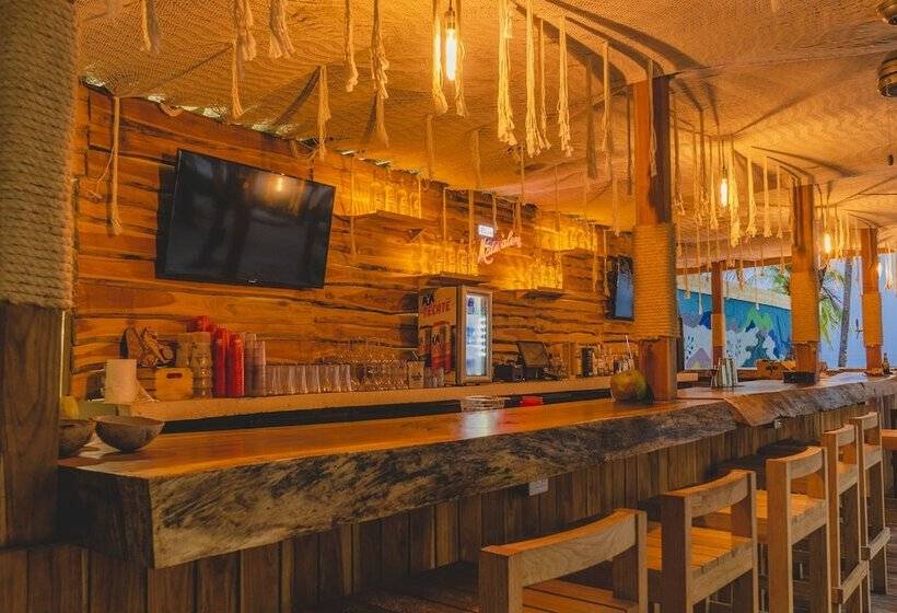 旅馆 Mayan Monkey Isla Mujeres Adults Only