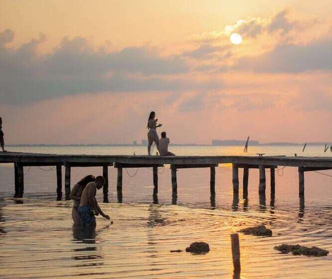 旅馆 Mayan Monkey Isla Mujeres Adults Only