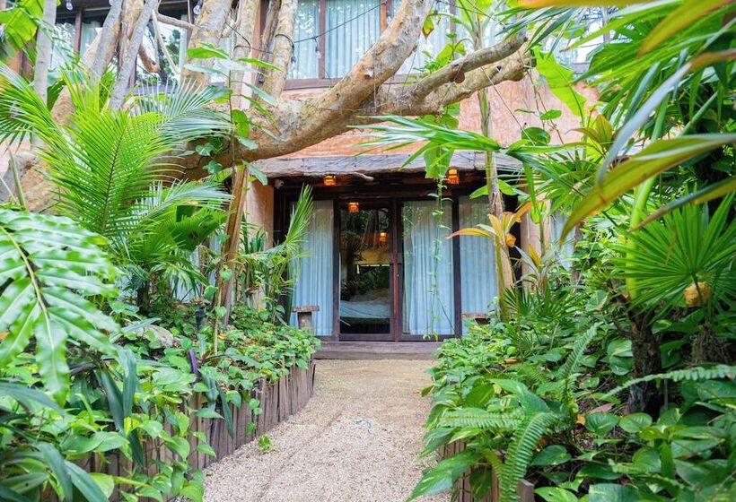 旅馆 Mayan Monkey Isla Mujeres Adults Only