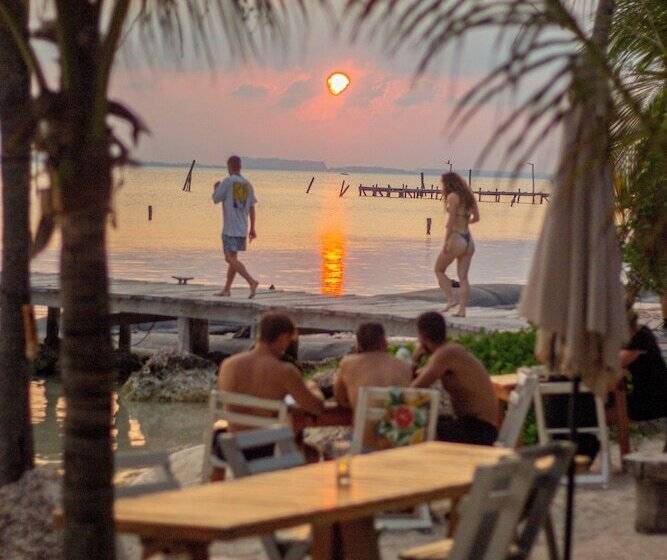 هاستل Mayan Monkey Isla Mujeres   Adults Only