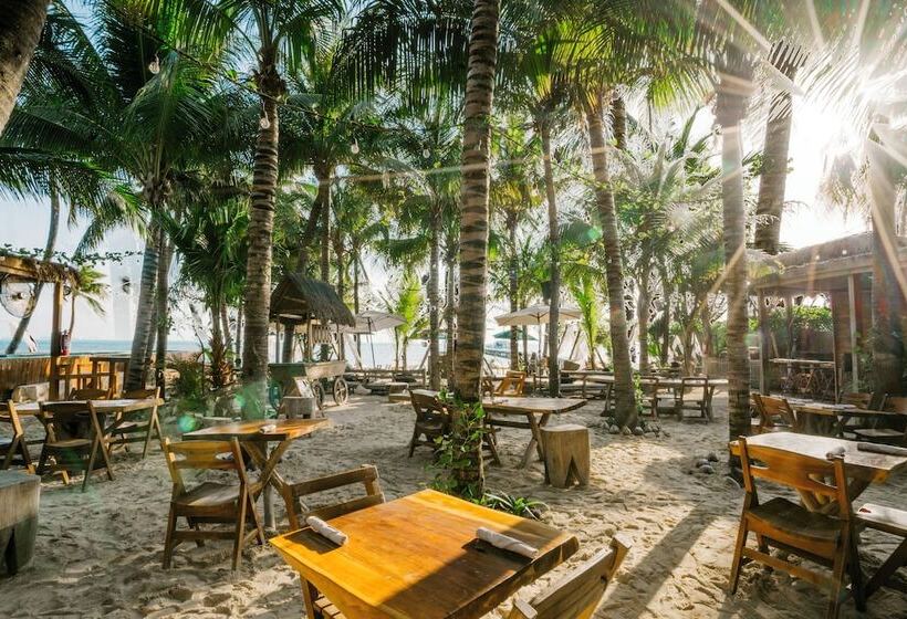 旅馆 Mayan Monkey Isla Mujeres Adults Only