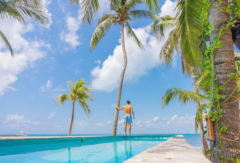 هاستل Mayan Monkey Isla Mujeres   Adults Only