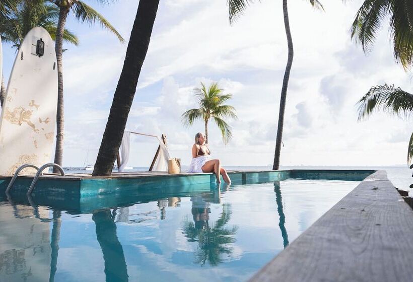 هاستل Mayan Monkey Isla Mujeres   Adults Only