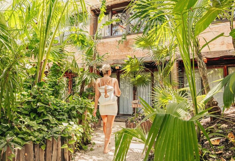 旅馆 Mayan Monkey Isla Mujeres Adults Only