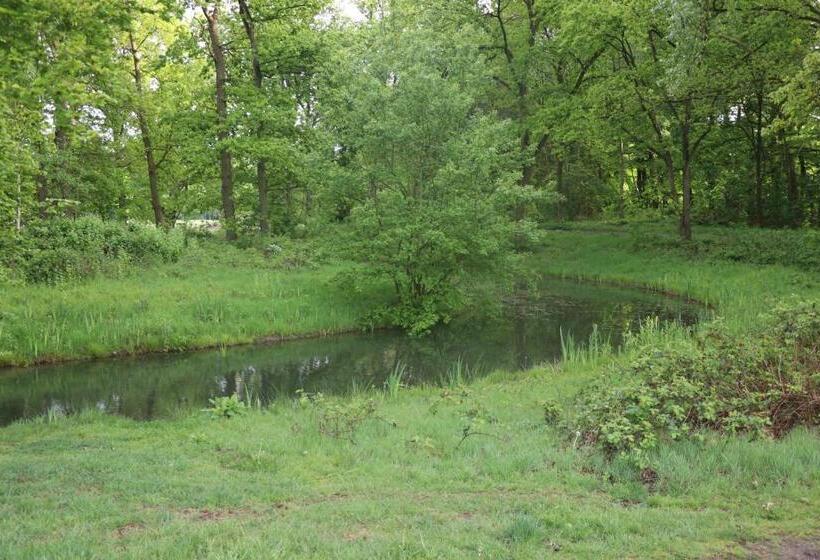 Пансион Cavalli's Cottage