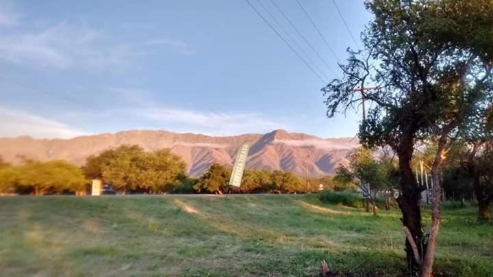 Hostel Campoalto Suites