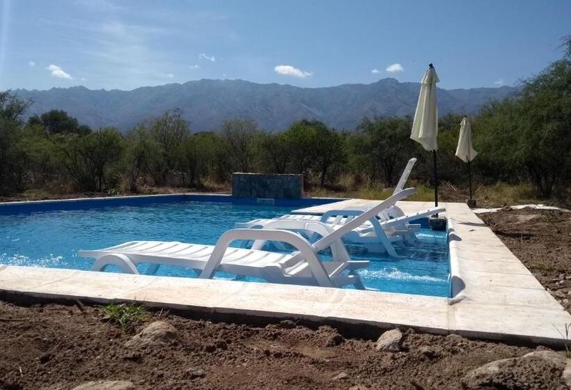 Hostel Campoalto Suites