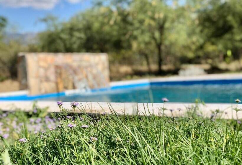 Hostel Campoalto Suites