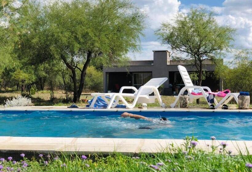 Hostel Campoalto Suites