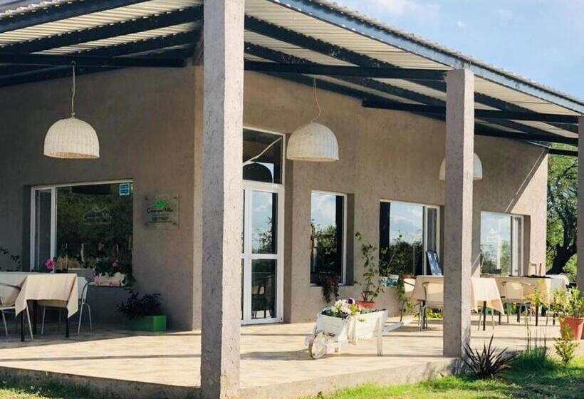 Hostel Campoalto Suites