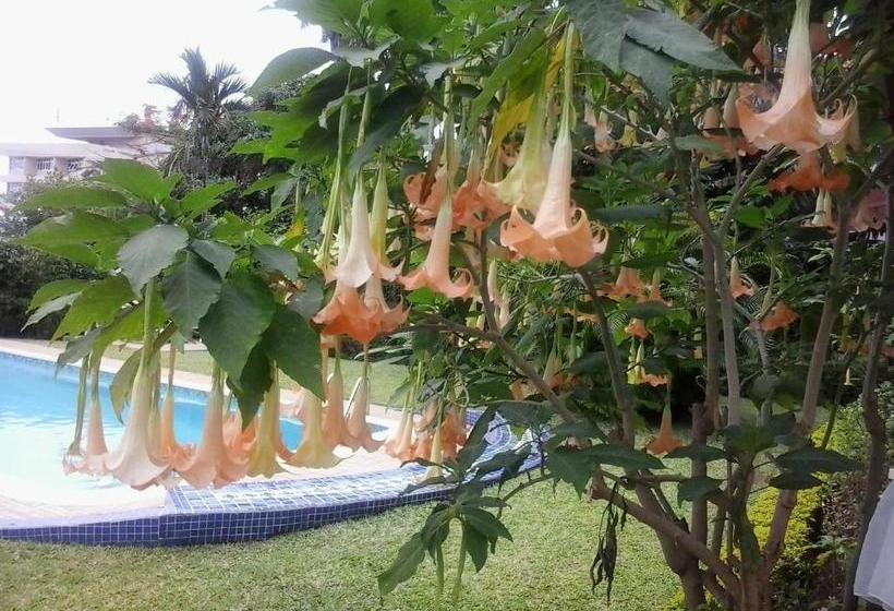 住宿加早餐  Figtree Guesthouse