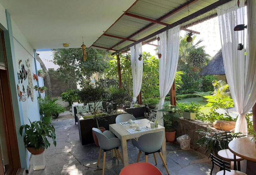 住宿加早餐  Figtree Guesthouse