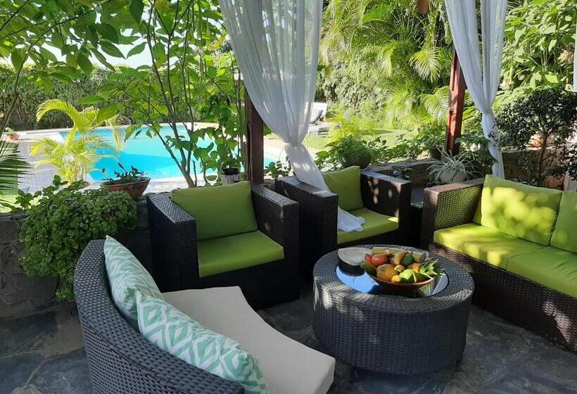 住宿加早餐  Figtree Guesthouse