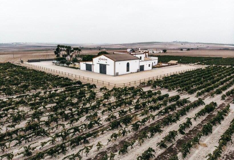 تختخواب و صبحانه La Bendita Locura