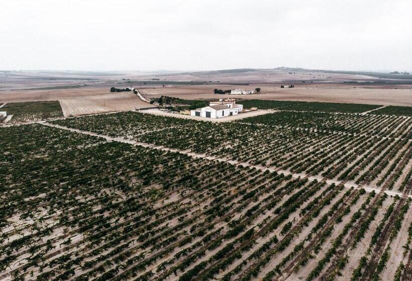 تختخواب و صبحانه La Bendita Locura