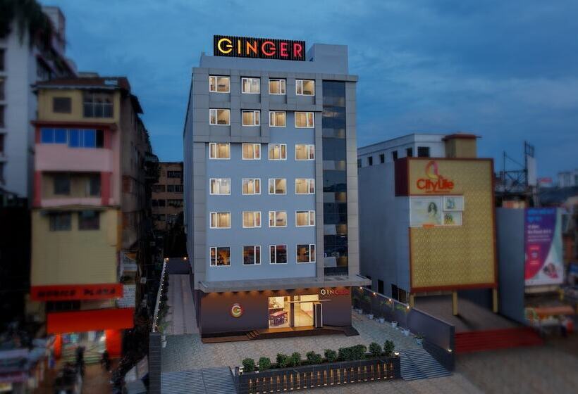 בית מלון כפרי Ginger Patna