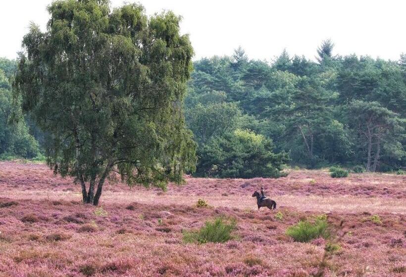 ペンション B&b De Sfeerhoeve