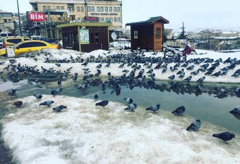 호스텔 S Crazy Horse