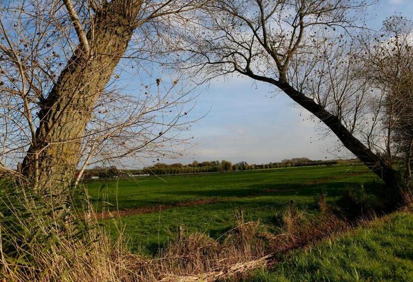 בית מלון כפרי De Grote Wateringe