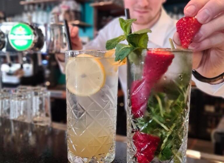 Отель Sonnevanck Wijk Aan Zee