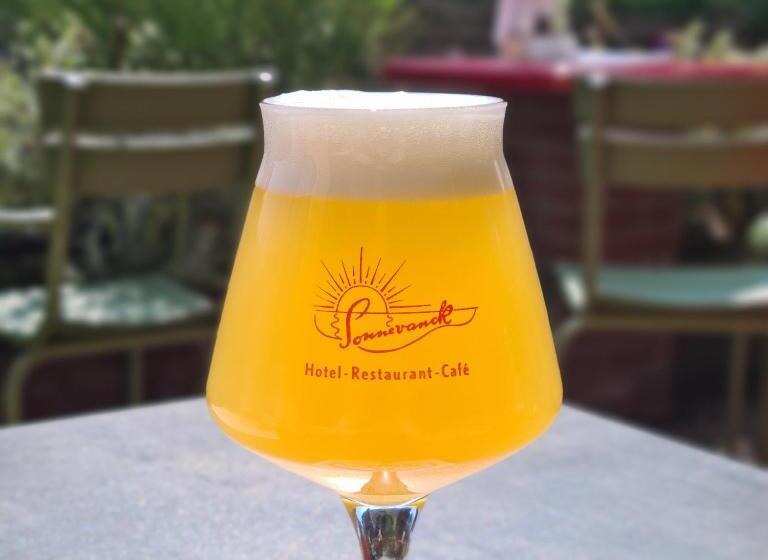 Отель Sonnevanck Wijk Aan Zee