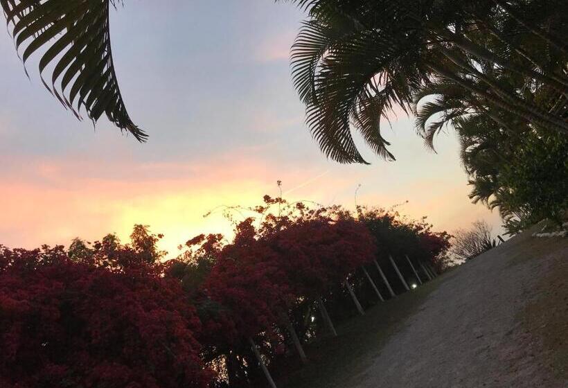 펜션 Pousada Halliny Do Rosa