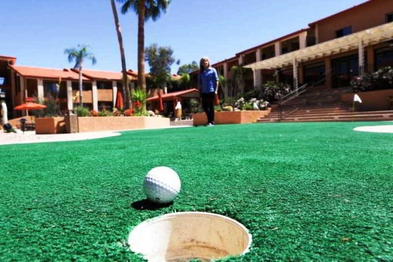 فندق 3 Palms Tucson North Foothills