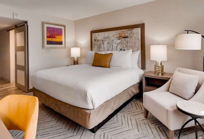 酒店 Aiden By Best Western Scottsdale North