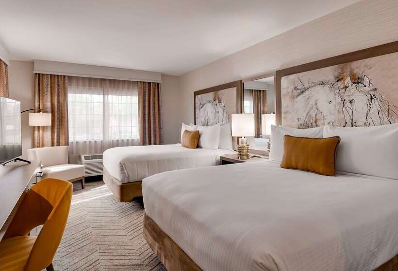 酒店 Aiden By Best Western Scottsdale North