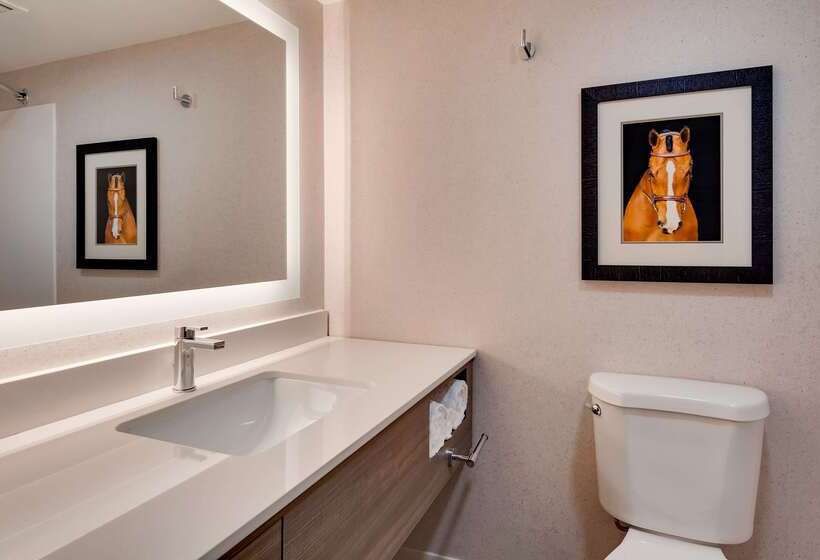 酒店 Aiden By Best Western Scottsdale North