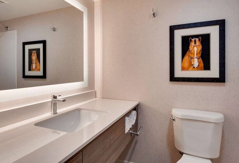 酒店 Aiden By Best Western Scottsdale North