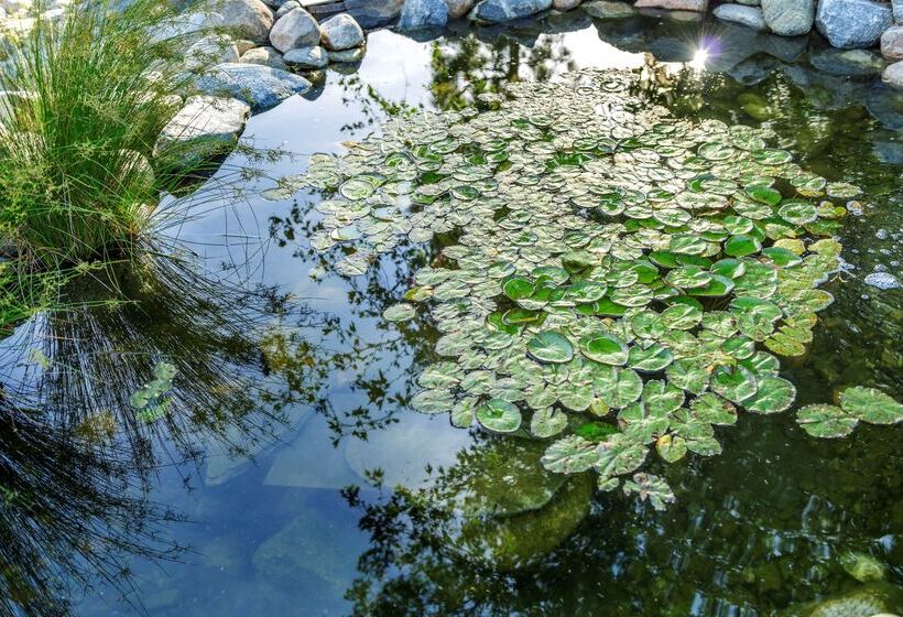 Отель Ayres Lodge Alpine