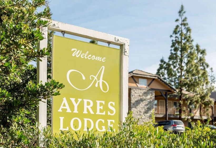 בית מלון כפרי Ayres Lodge Alpine