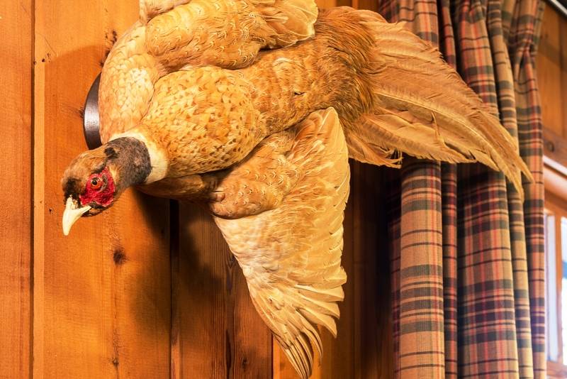 Отель Ayres Lodge Alpine