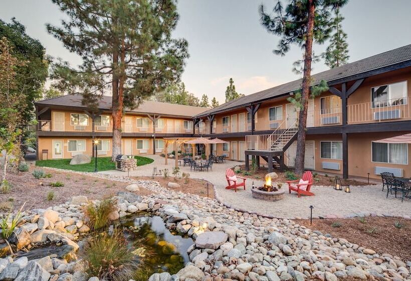 בית מלון כפרי Ayres Lodge Alpine