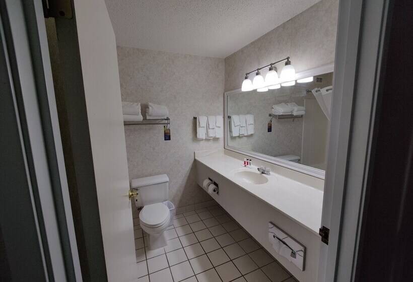 酒店 Baymont By Wyndham Albany