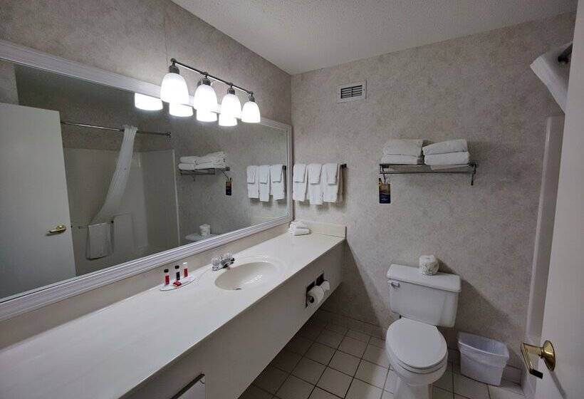 Отель Baymont By Wyndham Albany