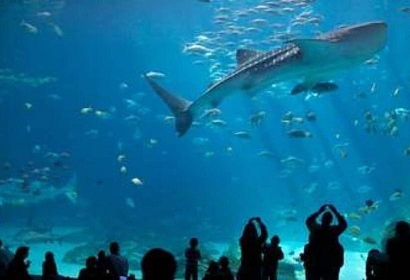 בית מלון כפרי Baymont By Wyndham Kennesaw