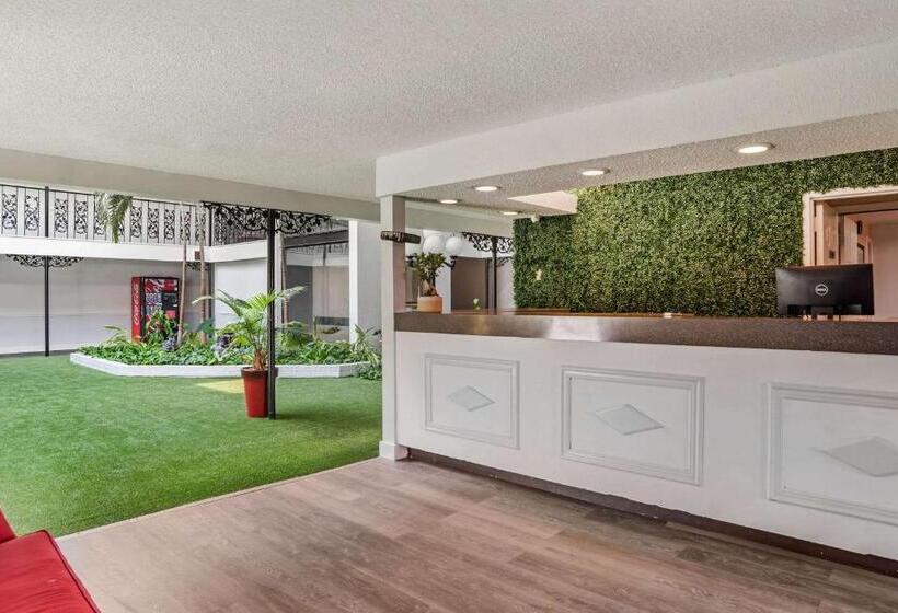 هتل Baymont By Wyndham Montgomery Al